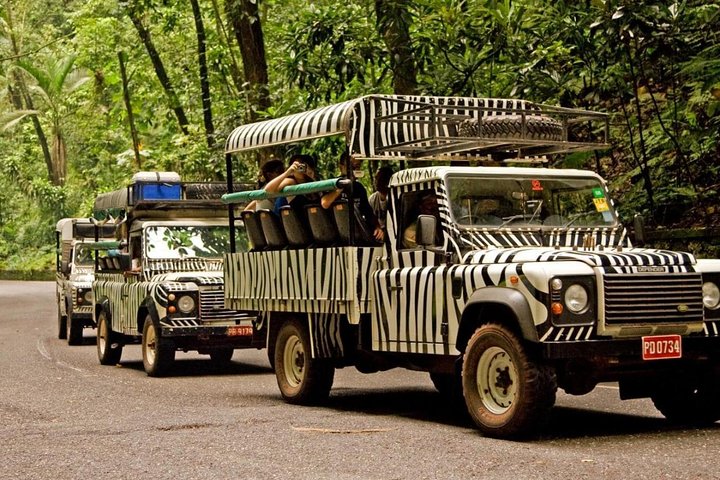 4x4 Jeep Safari & Blue Hole Adventure from Ocho Rios - Image 2