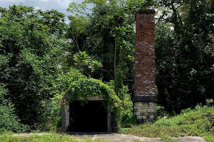 An Historic Experience from Ocho Rios - Full Day Tour - Image 5