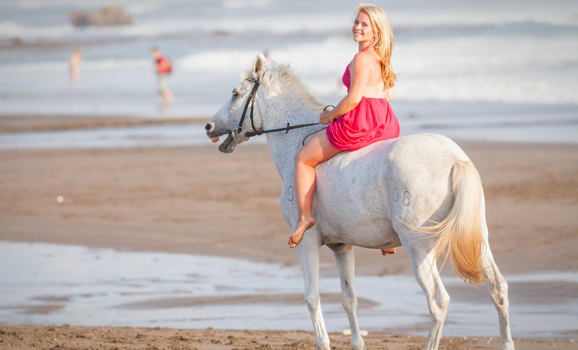 Beach Horseback Ride and Tubing - Image 1
