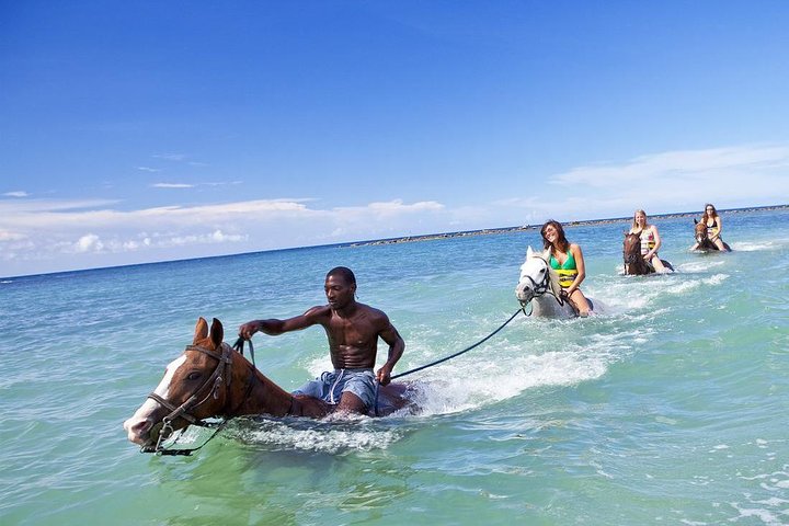 Beach Horseback Riding & Dunn’s River Falls - Image 3