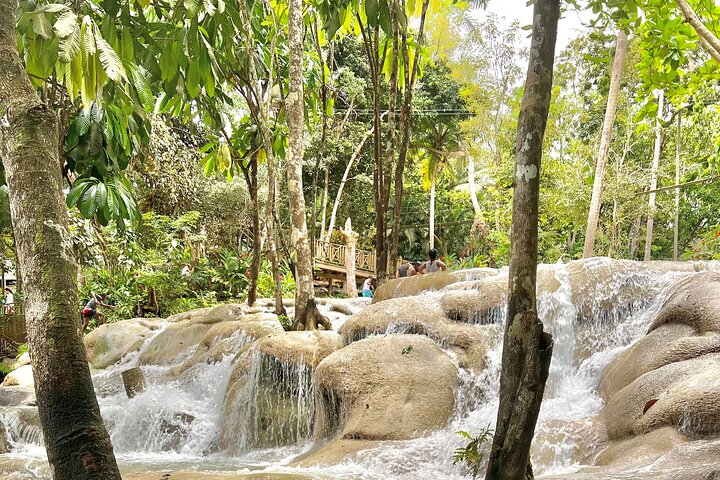 Blue Hole and Dunn's River Tour In Jamaica. - Image 4