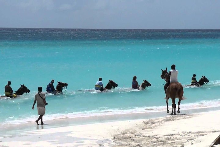 Blue Hole and Horseback Riding and Shopping - Image 2