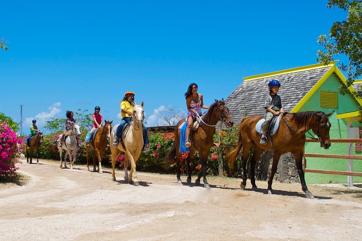 Braco Stables Horseback Ride & Swim Excursion from Ocho Rios - Image 2