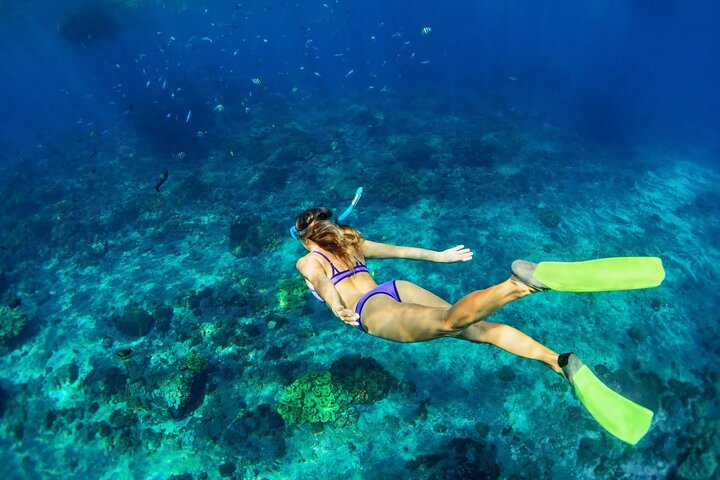 Catamaran Cruise, Snorkeling and Dunn's River Falls - Image 5