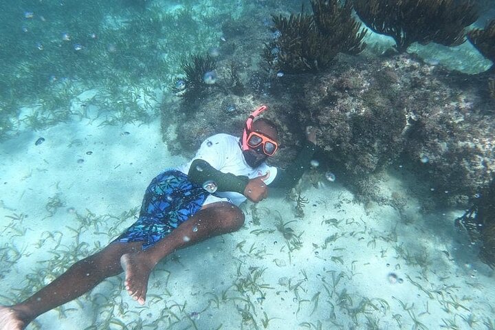 Catamaran Party & Snorkel in the Caribbean Sea - Image 2