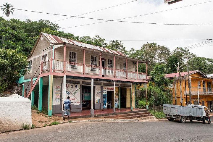 Country Side and Sight Seeing with Dunns River Falls - Image 4