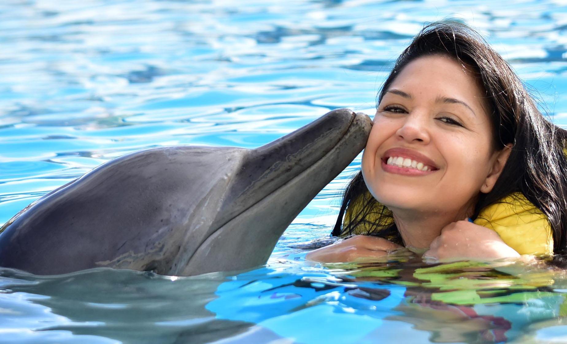 Dolphin Encounter in Ocho Rios - Image 1