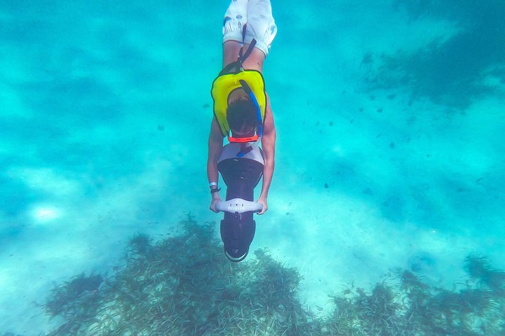 Dunn's River Climb and Catamaran Cruise from Ocho Rios - Image 4