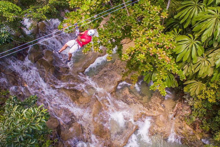 Dunn's River Climb and Zipline Over The Falls from Ocho Rios - Image 3
