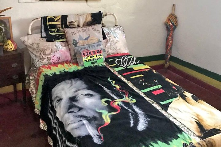 Dunns River Falls & Bob Marley - Image 3