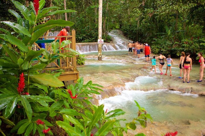 Dunn's River Falls & White River Tubing Combo Tour from Ocho Rios - Image 5