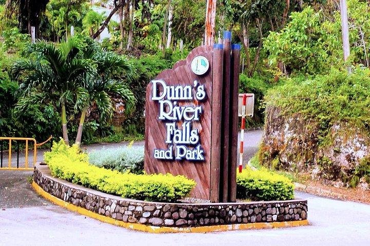 Dunn's River To Turtle Falls and Park From Ocho Rios - Image 3