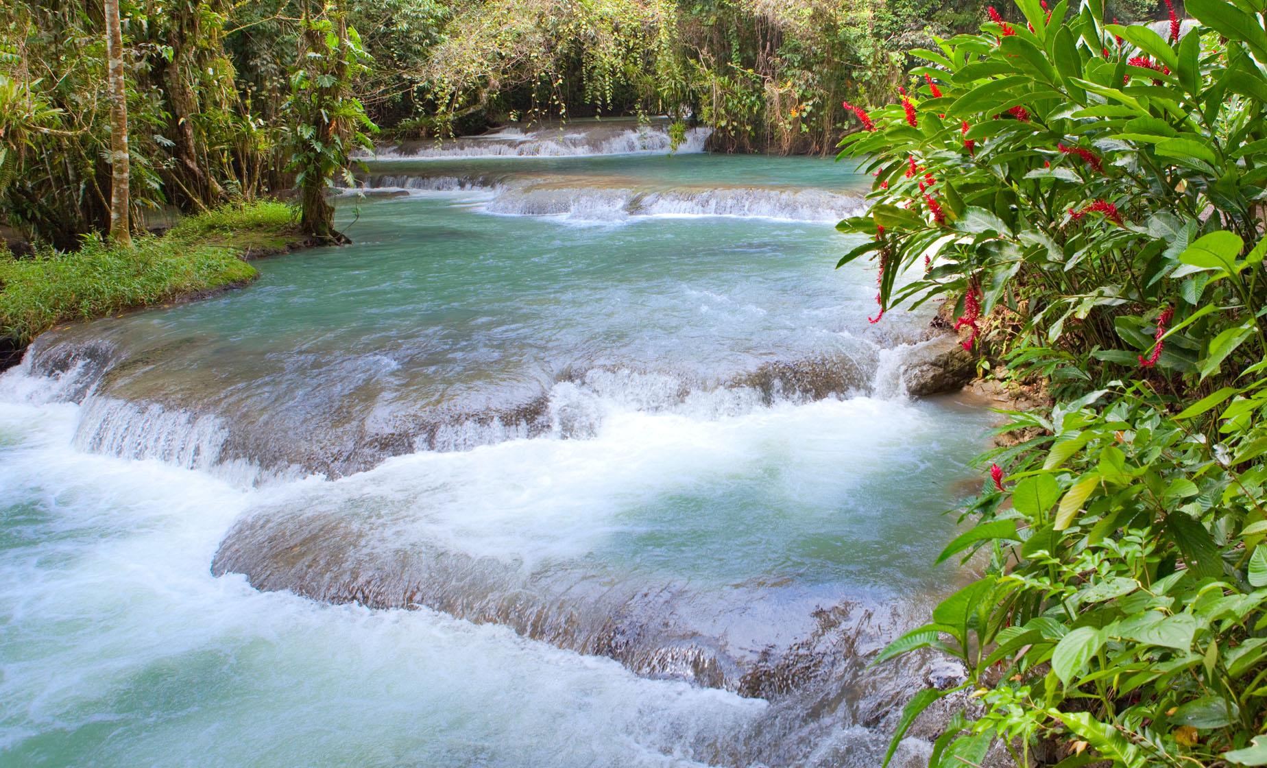 Exclusive Dunn's River Falls - Image 1