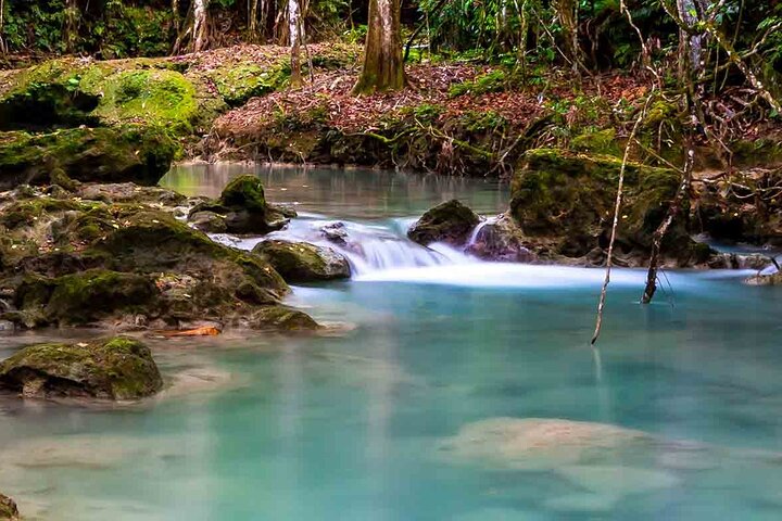 Exotic Blue Hole and Native Tour - Image 2