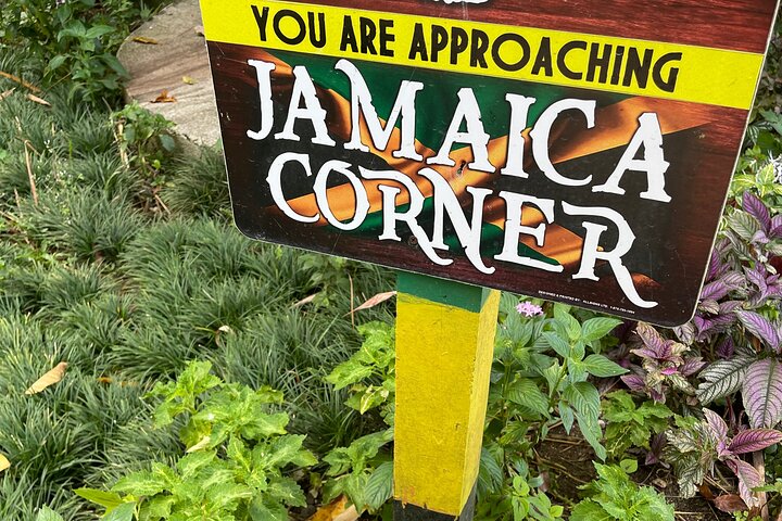 Exotic Ocho Rios Historical Sightseeing Tour - Image 4