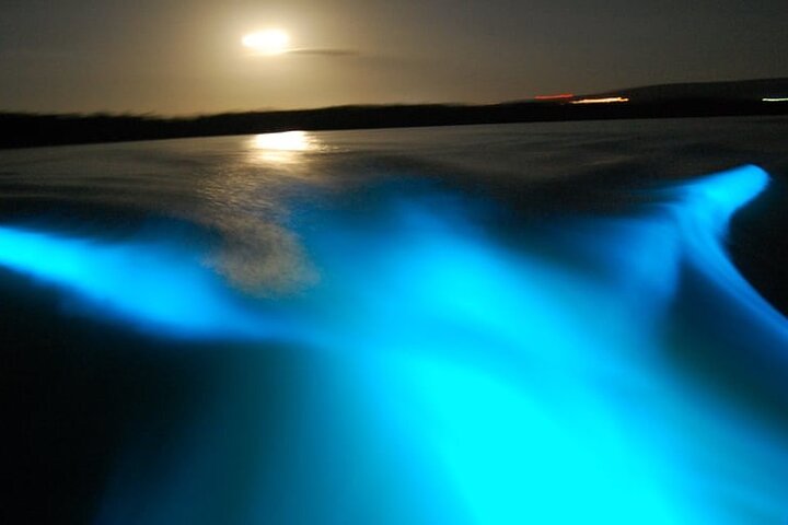 Exotic River Rafting and Luminous Lagoon Adventure - Image 3