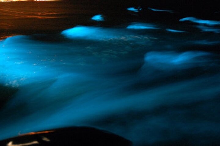 Exotic River Rafting and Luminous Lagoon Adventure - Image 4