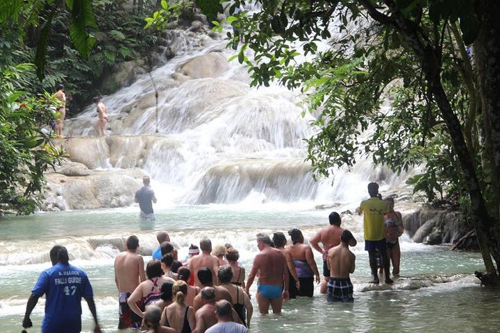 Fire Fly & Dunns River Falls - Image 4