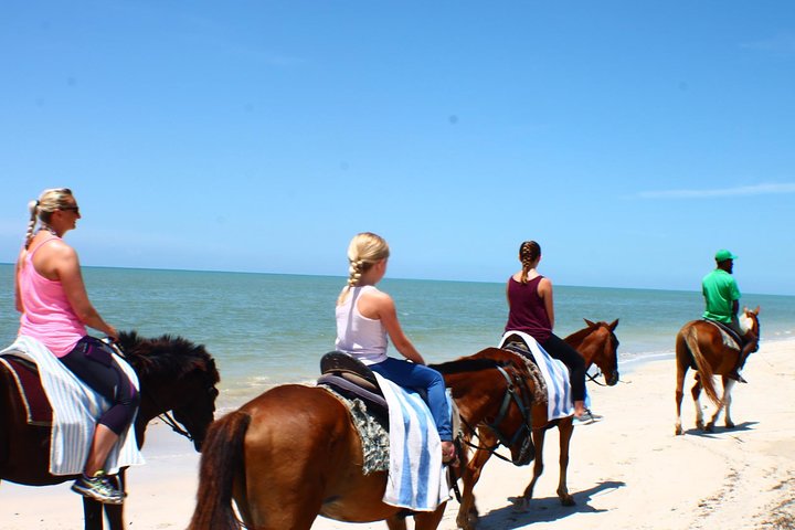 Half Day Beach Horseback Riding in Ocho Rios + Lunch - Image 4