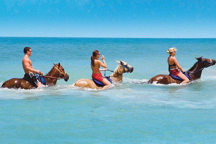 Half Day Beach Horseback Riding in Ocho Rios + Lunch - Image 2