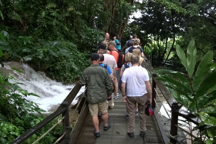 Half Day Tour to Konoko Gardens and Blue Hole Ocho Rios - Image 5