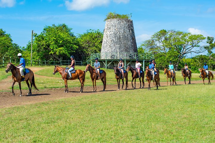 Horse and ATV Quad Combo from Ocho Rios - Image 2