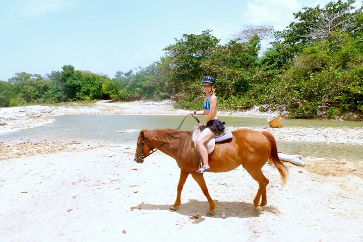 Horse Back Riding and Blue Hole Ocho Rios Private Tour - Image 1