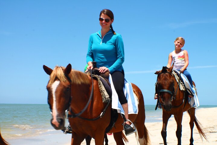 Horse Back Riding and Blue Hole Ocho Rios Private Tour - Image 4