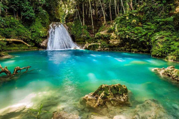 Horse Back Riding and Blue Hole Ocho Rios Private Tour - Image 3
