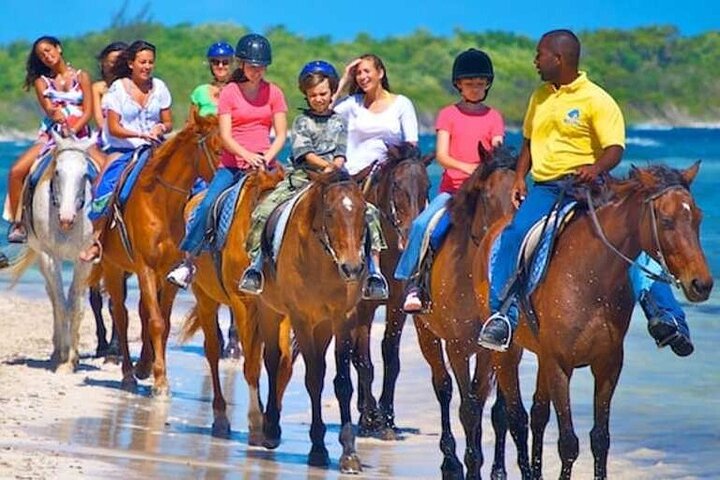 Horse Back riding Excursion - Image 5