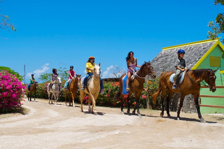 Horseback Ride and Swim Adventure Tour from Ocho Rios - Image 4
