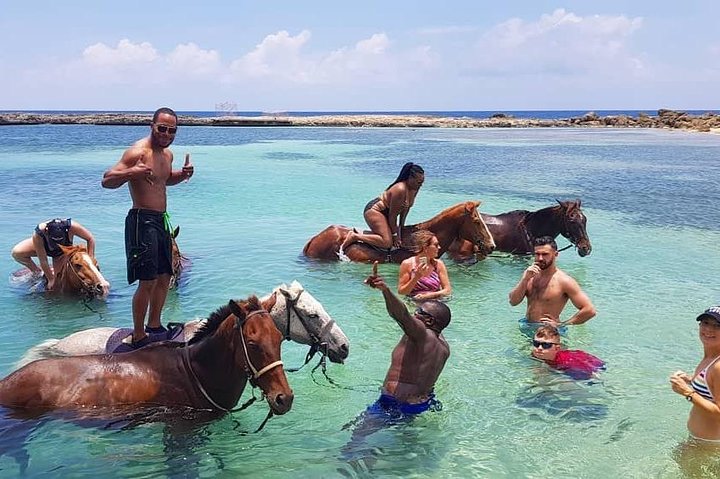 Horseback Ride and Swim From Ocho Rios - Image 5