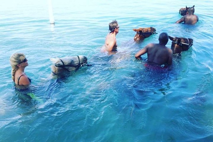 Horseback Ride and Swim From Ocho Rios - Image 3