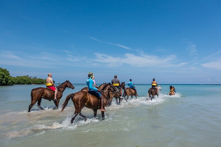 Horseback Ride, City Highlight Tour Ocho Rios(Entry fee included) - Image 4