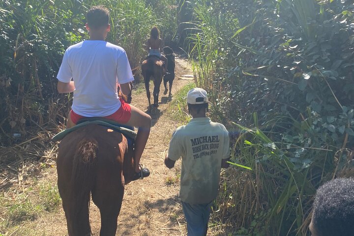 Horseback Riding Bamboo River Rafting Experience from Ocho Rios - Image 3