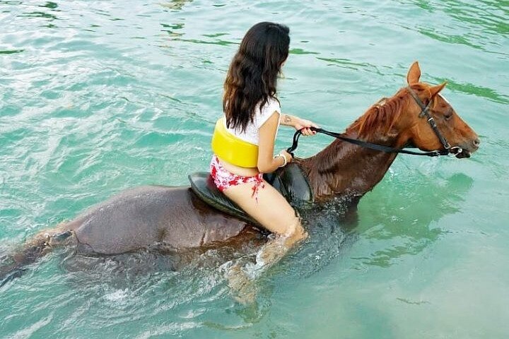 Horseback riding, shopping and lunch - Image 3