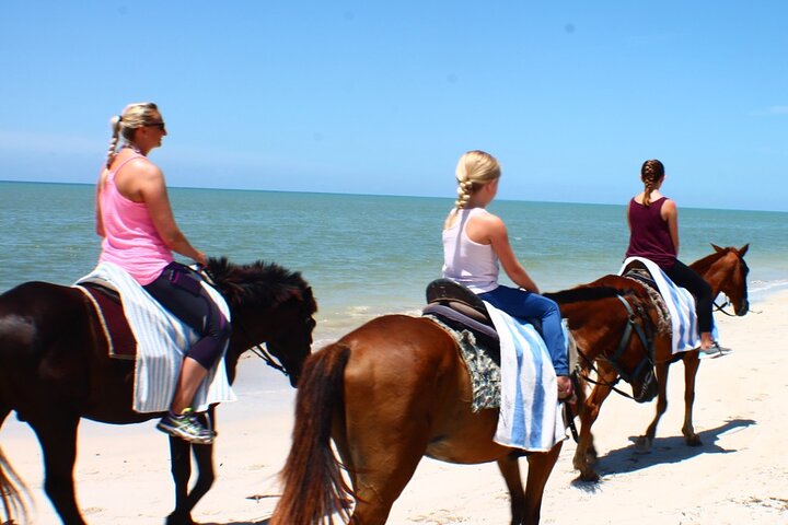 Horseback riding, shopping and lunch - Image 2