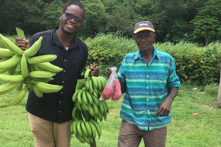 Jamaica Foodie and Cultural Experience in Ocho Rios - Image 1
