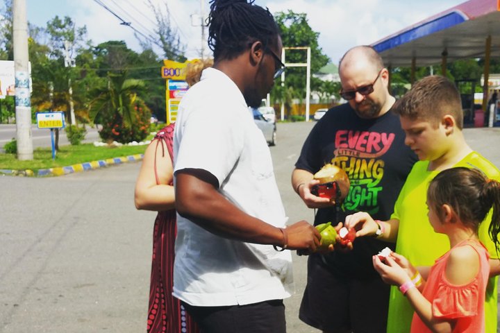 Kingston Day Tour with Bob Marley Museum Experience from Ocho Rios - Image 1