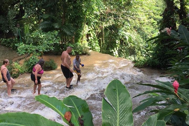 Konoko Falls and Tropical Garden Tour from Ocho Rios - Image 5