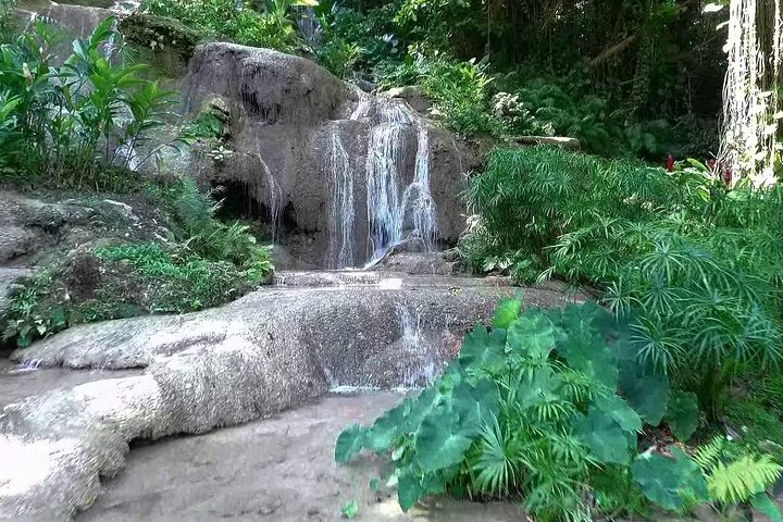Konoko Falls and Tropical Garden Tour from Ocho Rios - Image 2
