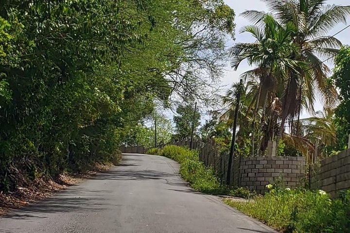 Mile End Walking Tour from Ocho Rios - Image 3