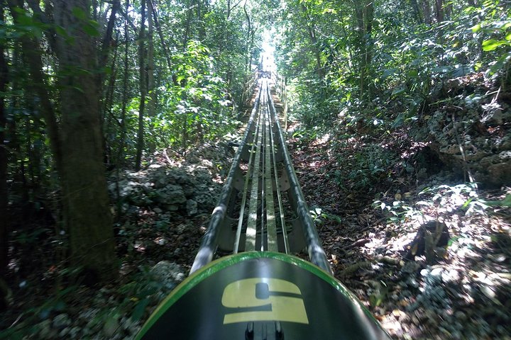 Mystic Mountain Jamaica Bobsled (Mystic Silver) from Ocho Rios - Image 3