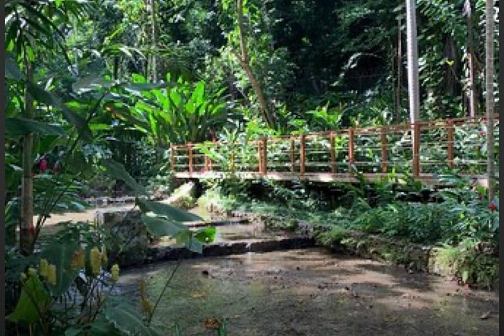 Natural Mystic  - Image 3