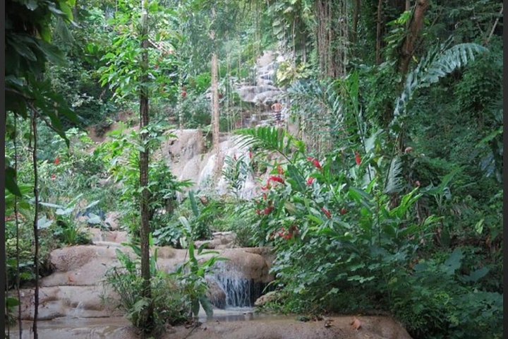 Natural Mystic  - Image 5