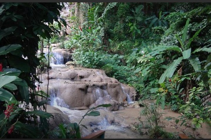 Natural Mystic  - Image 1