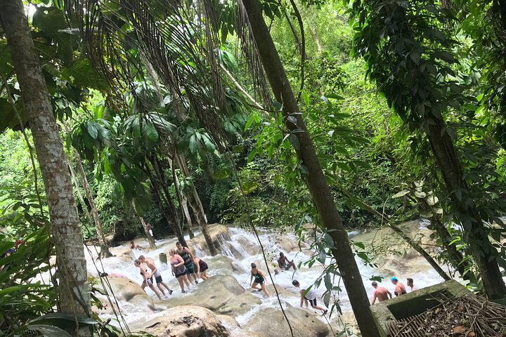 Nature at it's best Dunn's River - Bob Marley - Luminous Lagoon From Ocho Rios - Image 4