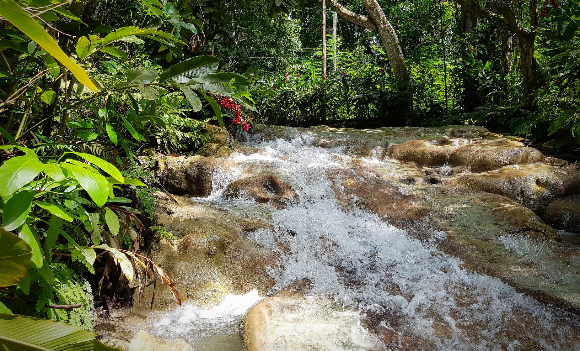 Ocho Rios Exclusive Dunn's Falls and Area Highlights - Image 1