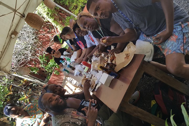 Ocho Rios For A Day / Private Customizable Tours / Jamaica Dream Vacation - Image 2