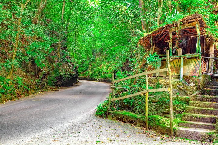 Ocho Rios Highlight & Dunns River - Full Day Tour - Image 3